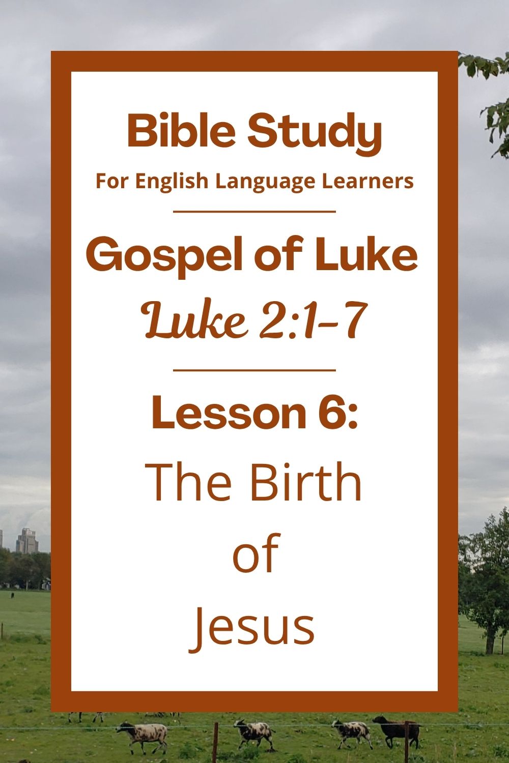 Free Luke 2:1-7 ESL Bible study. In this Bible study for ESL students and teachers, we will learn about the birth of Jesus. We will see how God sent his Son to be born in a simple place. We will also talk about what this story teaches us today. This complete lesson includes an icebreaker, passage summary, vocabulary list, discussion questions, theological insights, and a free printable PDF. #ESLBibleStudy #BibleStudyPrintable #ChristianESL #LearnEnglish