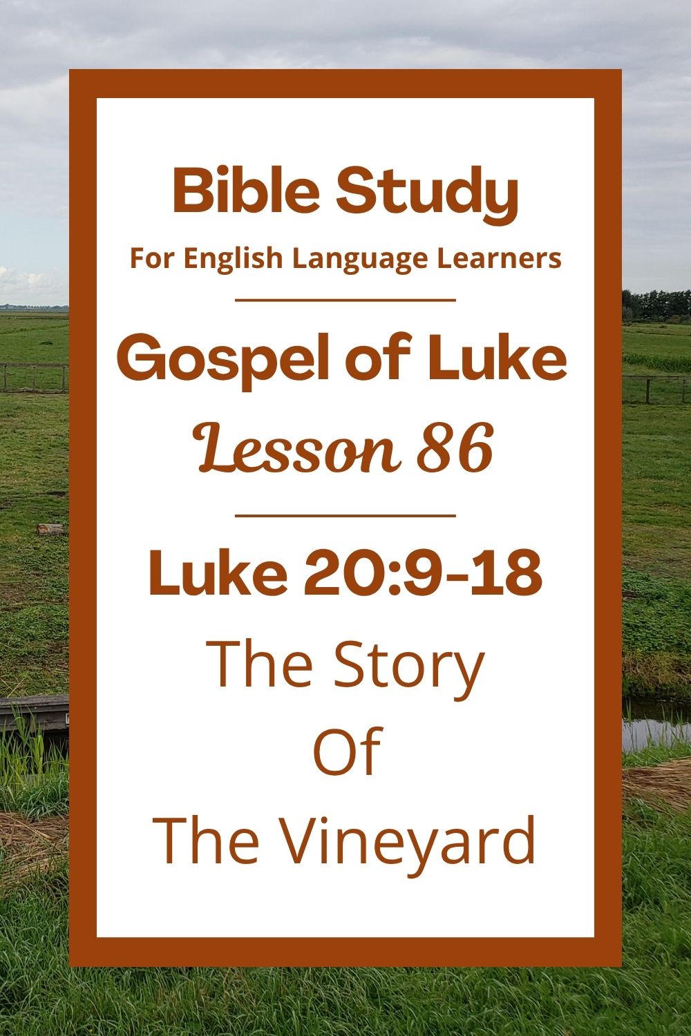 Free Luke 20:9-18 ESL Bible study. In this Bible study for ESL students and teachers, we will hear a story Jesus told about a vineyard and the people who worked in it. We will learn what happened when they did not listen to the owner. We will see that Jesus is the Son of God, sent to save us. This complete lesson includes an icebreaker, passage summary, vocabulary list, discussion questions, theological insights, and a free printable PDF. #ESLBibleStudy #BibleStudyPrintable #ChristianESL #LearnEnglish