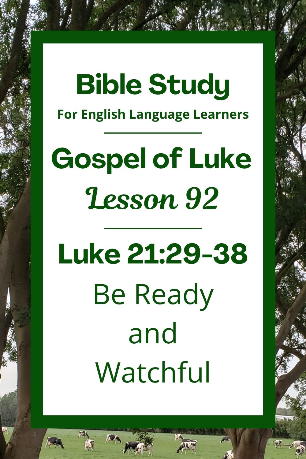 Free Luke 21:29-38 ESL Bible study. In this Bible study for ESL students and teachers, we will learn how Jesus used a tree to teach an important lesson. He told his friends to watch carefully and stay ready. We will see how this can help us live with hope and trust. This complete lesson includes an icebreaker, passage summary, vocabulary list, discussion questions, theological insights, and a free printable PDF. #ESLBibleStudy #BibleStudyPrintable #ChristianESL #LearnEnglish