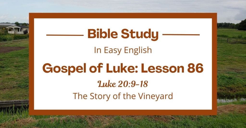 The Story of the Vineyard: An Easy English Bible Study on Luke&nbsp;20:9-18