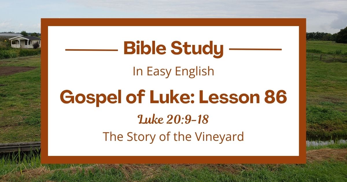 The Story of the Vineyard: An Easy English Bible Study on Luke&nbsp;20:9-18