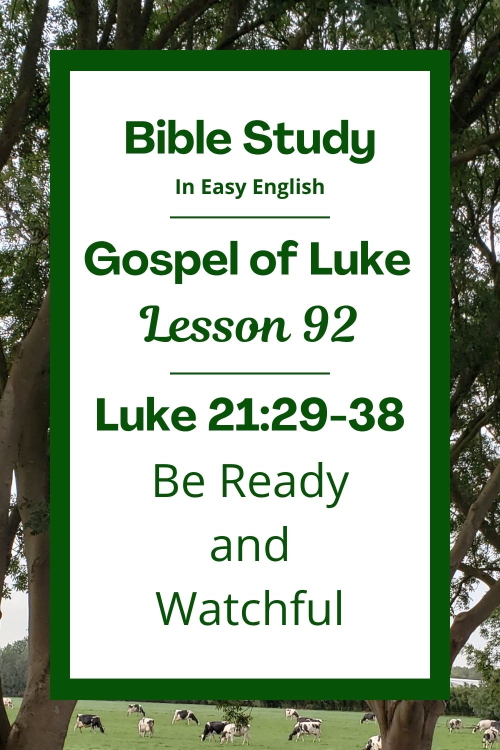 Free Luke 21:29-38 easy English Bible study. In this Bible study for ESL students, homeschool children, families, and anyone who enjoys studying the Bible with simple words, we will learn how Jesus used a tree to teach an important lesson. He told his friends to watch carefully and stay ready. We will see how this can help us live with hope and trust. This complete lesson includes an icebreaker, passage summary, vocabulary list, discussion questions, theological insights, and a free printable PDF. #BibleStudy #BibleLesson #ESL #Homeschool #ChristianFamily #FreePrintable #EasyEnglish #GospelOfLuke