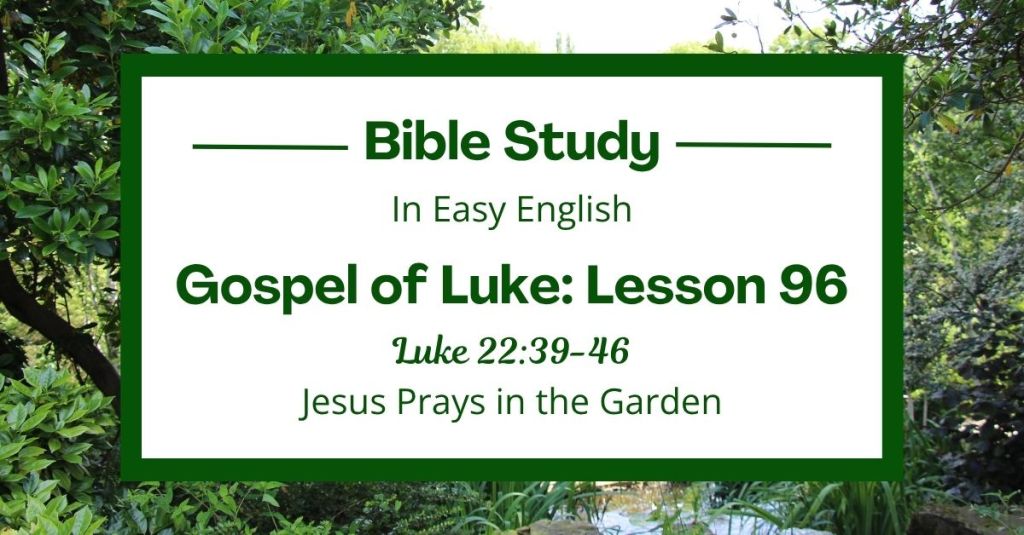 Jesus Prays in the Garden: An Easy English Bible Study on Luke&nbsp;22:39-46
