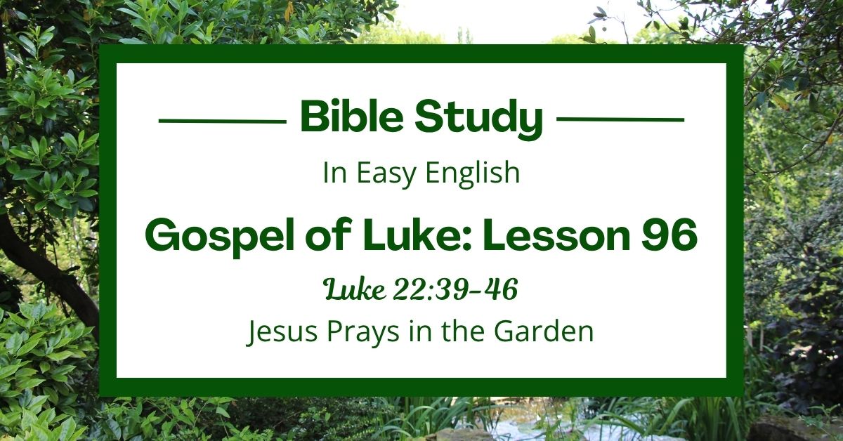 Jesus Prays in the Garden: An Easy English Bible Study on Luke&nbsp;22:39-46