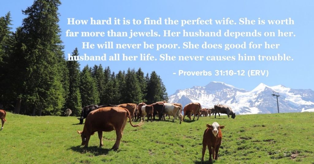 This Bible verse image features Proverbs 31:10-12 (ERV): "How hard it is to find the perfect wife. She is worth far more than jewels. Her husband depends on her. He will never be poor. She does good for her husband all her life. She never causes him trouble." A reminder about how to grow as a wife with wisdom, grace, and patience! #BibleVerse #Scripture #ERV #EasyEnglish #Proverbs #Marriage #Wisdom
