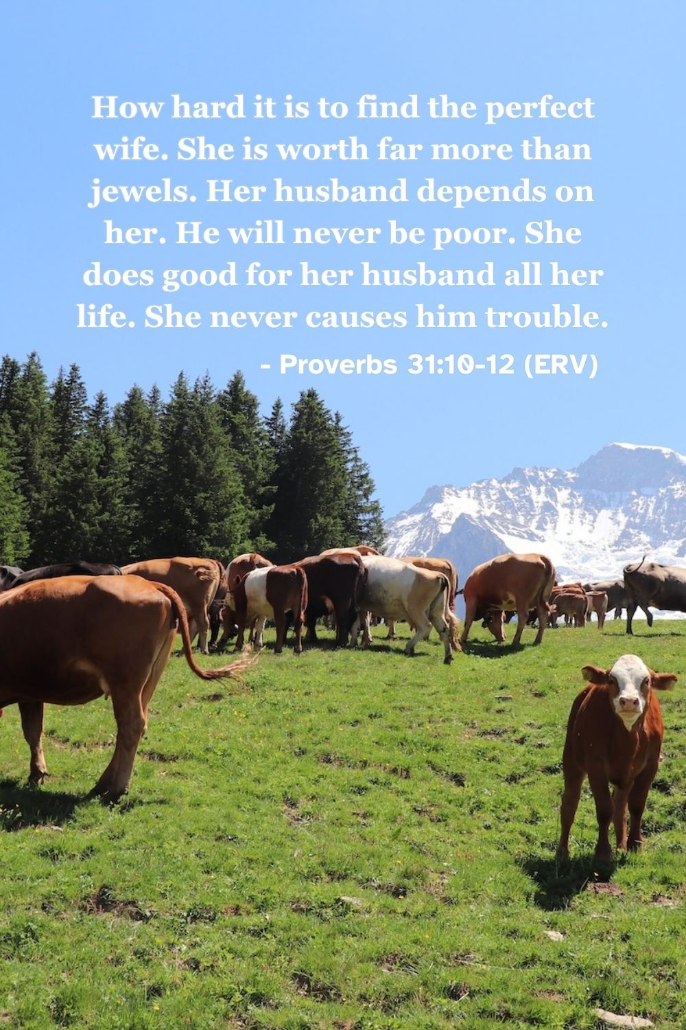 This Bible verse image features Proverbs 31:10-12 (ERV): "How hard it is to find the perfect wife. She is worth far more than jewels. Her husband depends on her. He will never be poor. She does good for her husband all her life. She never causes him trouble." A reminder about how to grow as a wife with wisdom, grace, and patience! #BibleVerse #Scripture #ERV #EasyEnglish #Proverbs #Marriage #Wisdom
