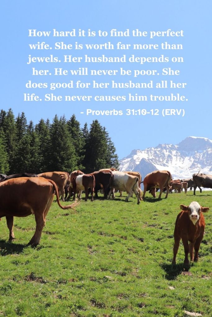 This Bible verse image features Proverbs 31:10-12 (ERV): "How hard it is to find the perfect wife. She is worth far more than jewels. Her husband depends on her. He will never be poor. She does good for her husband all her life. She never causes him trouble." A reminder about how to grow as a wife with wisdom, grace, and patience! #BibleVerse #Scripture #ERV #EasyEnglish #Proverbs #Marriage #Wisdom