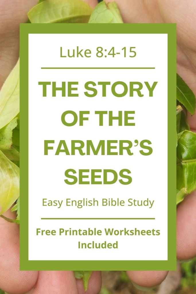 Find free printable Bible worksheets for Luke 8:4-15 to help students understand Jesus' teachings on the parable of the farmer's seeds! This activity set includes a vocabulary match worksheet, a grammar practice worksheet, a sequence of events activity, a fill in the blank assignment, discussion questions, and more. These resources are perfect for ESL students, homeschool children, and anyone who enjoys studying the Bible and growing their faith in simple English. Use these materials for your next homeschool Bible study or ESL class. Download the complete set to help your students learn more about Jesus' teachings on how people understand God's word differently! #BibleLesson #BibleStudy #GospelOfLuke #EasyEnglish #ESL #Homeschool #FreePrintables